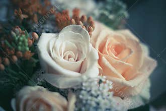 Bouquet of roses