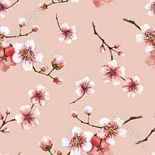 Blossoming tree branch spring time sakura cherry flowers buds seamless pattern Watercolor hand drawn