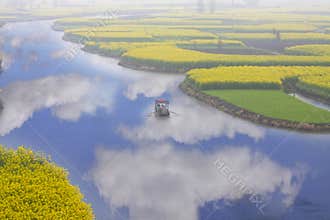 Bright spring, rape flower field landscape, Jiangsu, China