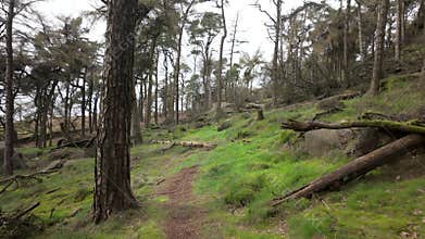 Point of view destination scenic at The Roaches in the Peak District National Park