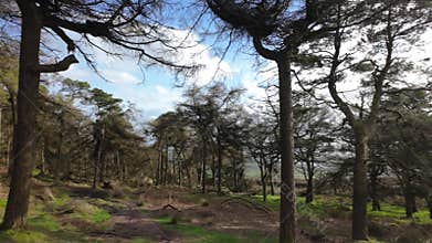 Destination scenics at The Roaches in the Peak District National Park