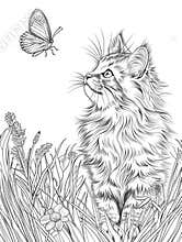 A black and white drawing of a cat and a butterfly, coloring book for kids.