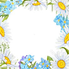 a frame of watercolor flowers of chamomile, forget-me-nots and wild herbs