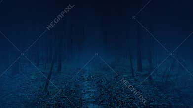 Paranormal Scary POV Woods Turn Dark And Misty