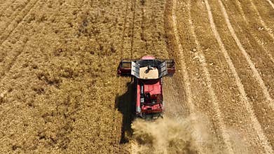 A field after a harvest. The combine sank in the dust