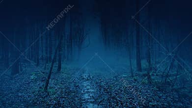 Walking In Dark Misty Woods Scary POV