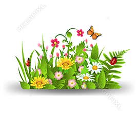Summer flowers