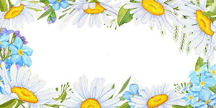 Watercolor frame with daisies, forget-me-nots and wild herbs