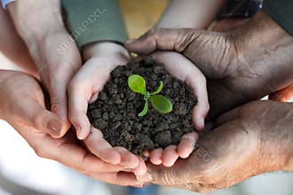 Farmers family holding a fresh young plant