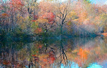 The Quiet of the Lake reflects the beautiful colors of autumn