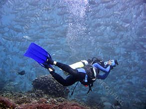 Underwater Videographer