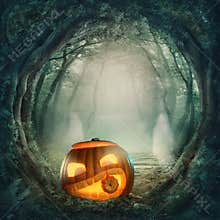 Pumpkin in dark forest
