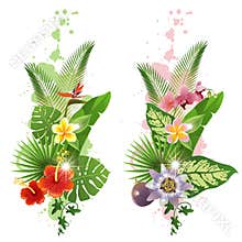 Tropical plants