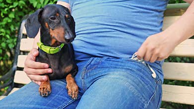 Man with dog on bench in park on walk Family time digital detox Media asceticism
