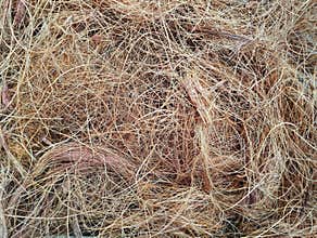 Close up of coconut fiber texture, Nature abstrack background