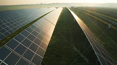 Rows of solar panels installed on field at dawn in light fog