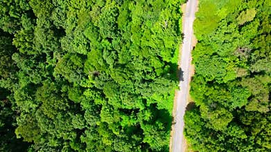 Aerial top down of beaten path in green forest in summer coal country Pennsylvania Appalachia