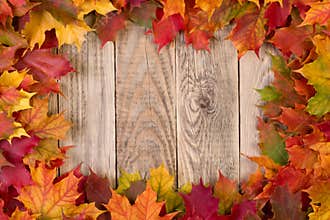 Fall leaves frame