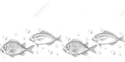 Seamless border with fish and bubbles Isolated pencil graphic illustration for cards, textiles, restaurant decoration
