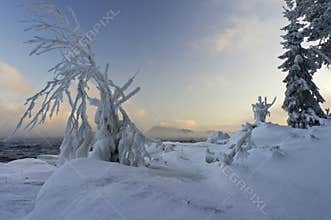 Gray blue sky over snow-covered trees and dark water