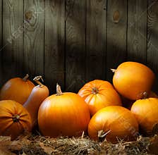 Art autumn Pumpkin thanksgiving backgrounds