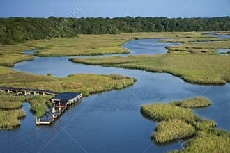 Boys on dock in marsh.
