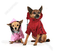 Winter clothes