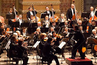 Symphony Orchestra