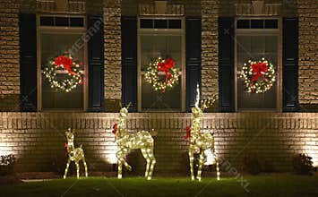 Glowing Holiday Deer in Front of Luxury Home