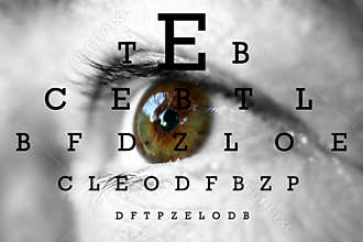 Human eye