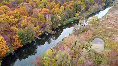 Autumn aerial arc flight on river in yellow forest