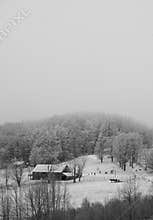 Foggy snowfall on country farmstead with horses