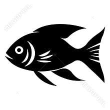 Fish black vector icon on white background