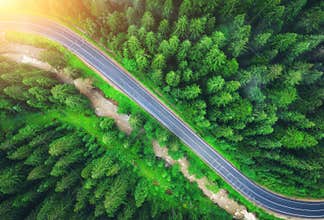 Aerial view of road in beautiful green forest at sunset in summer