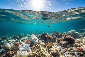 Underwater view of coral reef with fish and plastic pollution