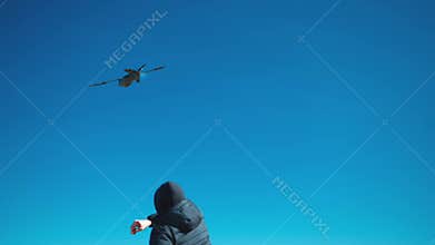 A man launches a drone in a field during spring. Ukrainian military uses a aircraft plane drone to detect enemy