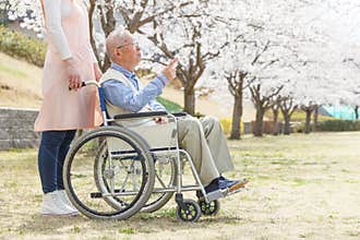 Asian senior man sitting on a wheelchair with caregiver pointing