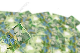 Money illusion