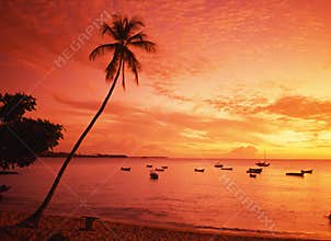 Tropical sunset, Tobago.