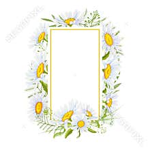 Watercolor frame with daisies and wild herbs