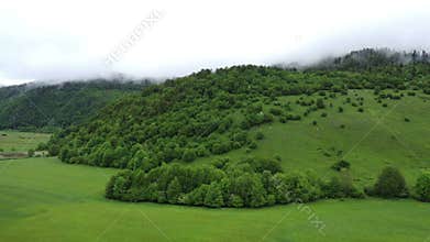 Landscape with green grass and mountains, aerial shot.