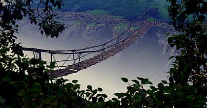 Jungle Bridge