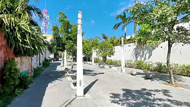 Pedestrian walkway under tropical palm trees Playa del Carmen Mexico
