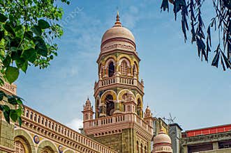 Vintage Old Indo Sarsenik Stone Stuccher of Anjuman