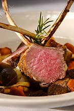 Lamb