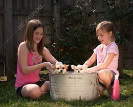 Puppy Bath