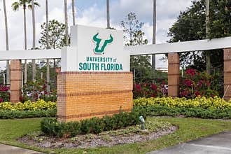 The University of South Florida in Tampa, FL.