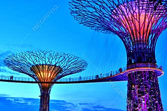 Gardens by the Bay Supertrees, Singapore