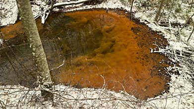 Beavers have built many small lakes in the mountains