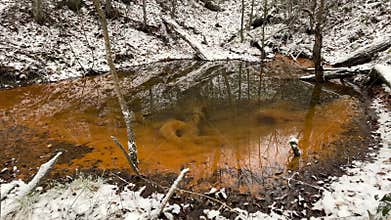 Beavers have built many small lakes in the mountains